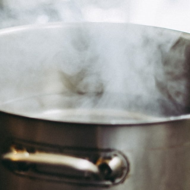 Técnicas de cocción húmeda