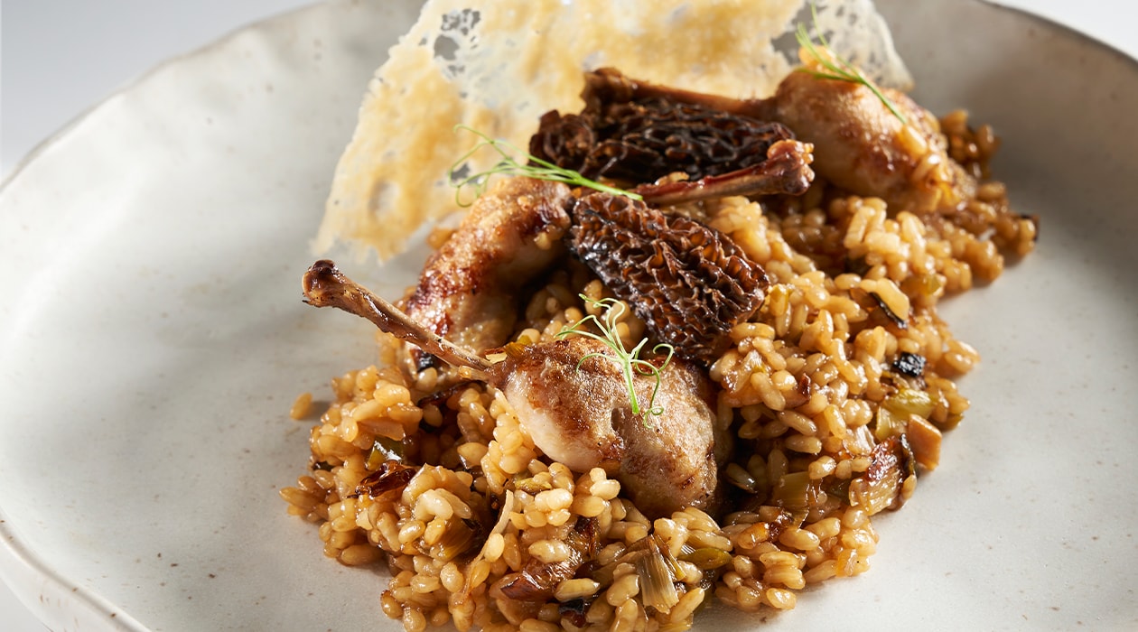 Arroz de perdiz, cremoso de verduras, colmenillas y crujiente de parmesano – - Receta - UFS