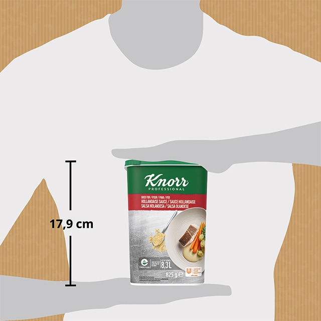 Knorr Salsa Holandesa deshidratada bote 825g - 