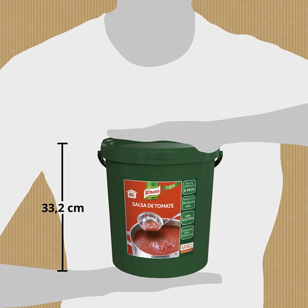 Knorr Salsa de Tomate deshidratada sin gluten cubo 10kg - 