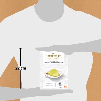 Carte d'Or Gelatina Piña 50 raciones 850g - 