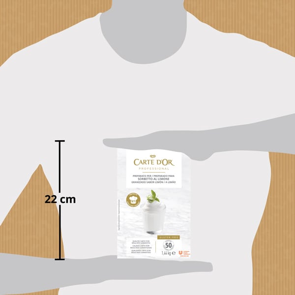 Carte d'Or Sorbete de Limón sin gluten 50 raciones 1,44kg - 