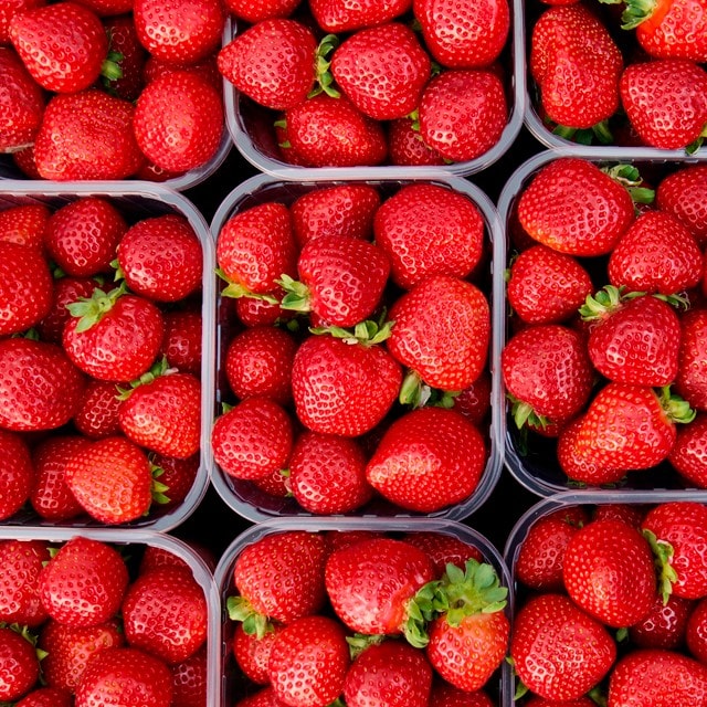 ¡Larga vida a las fresas! ¡Larga vida a las fresas!