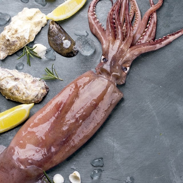 Los calamares, perfectos para el verano
