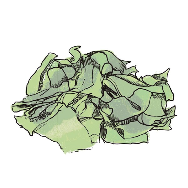 Wakame Wakame