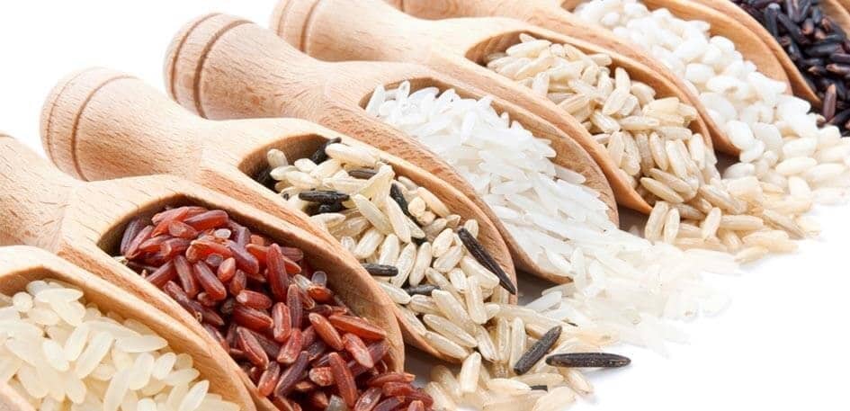 El arroz: Tipos de grano y propiedades