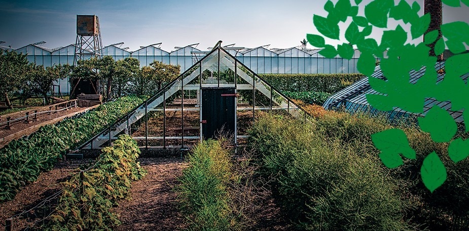 La Nueva Generación de Chefs se une a la revolución veggie