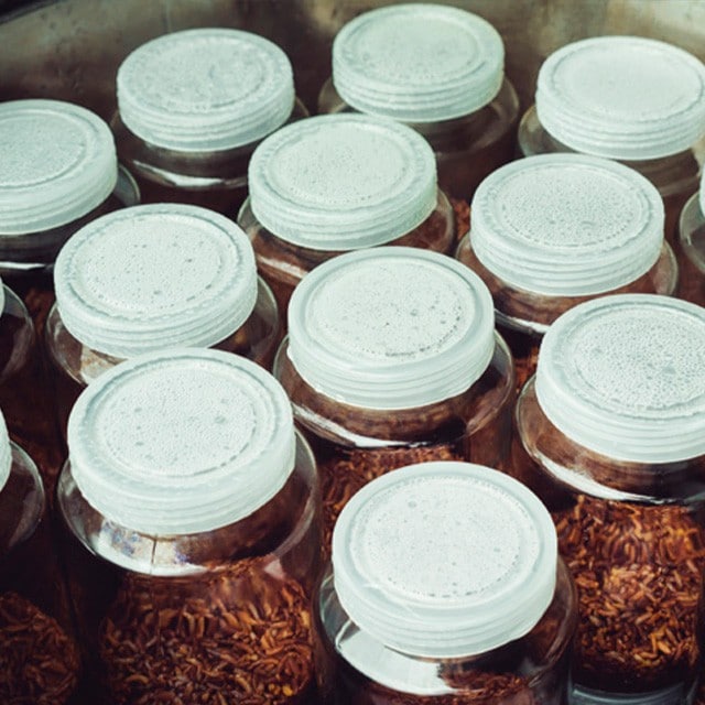 La esterilización de alimentos