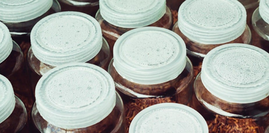 La esterilización de alimentos