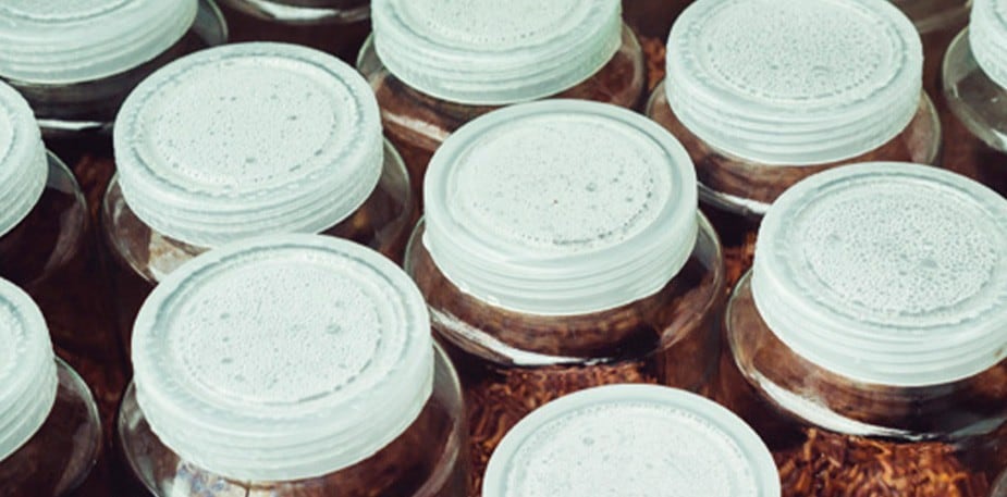 La esterilización de alimentos