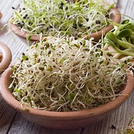 Los germinados Los germinados