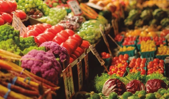 verduras spain verduras spain