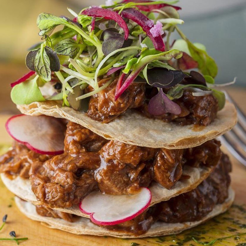 Primerbas Knorr Professional