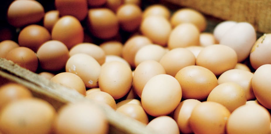 El cálculo de costes de alimentos