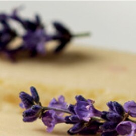 Flores Flores
