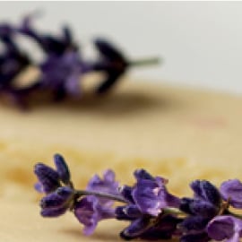 Flores Flores