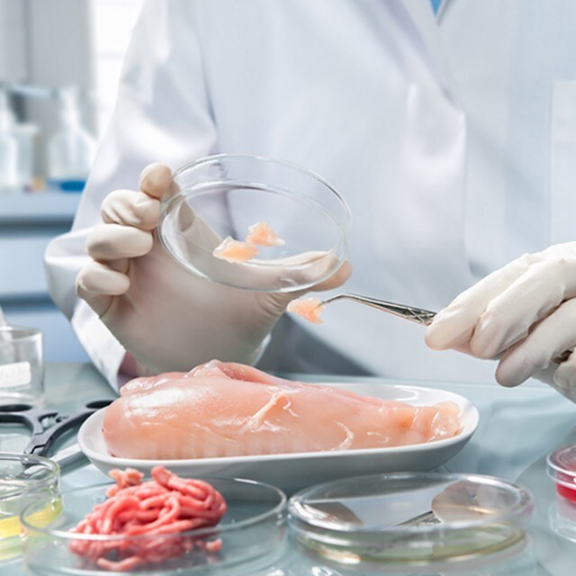 Ten respaldos reglamentarios: