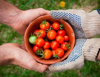 Ingredientes Sostenibles Hellmanns Ingredientes Sostenibles Hellmanns